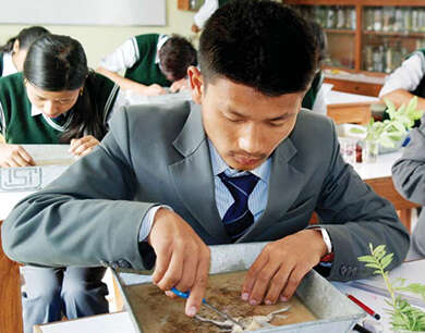 BANEPA NIST