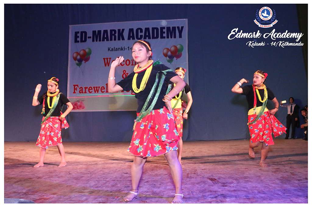 Ed Mark Academy