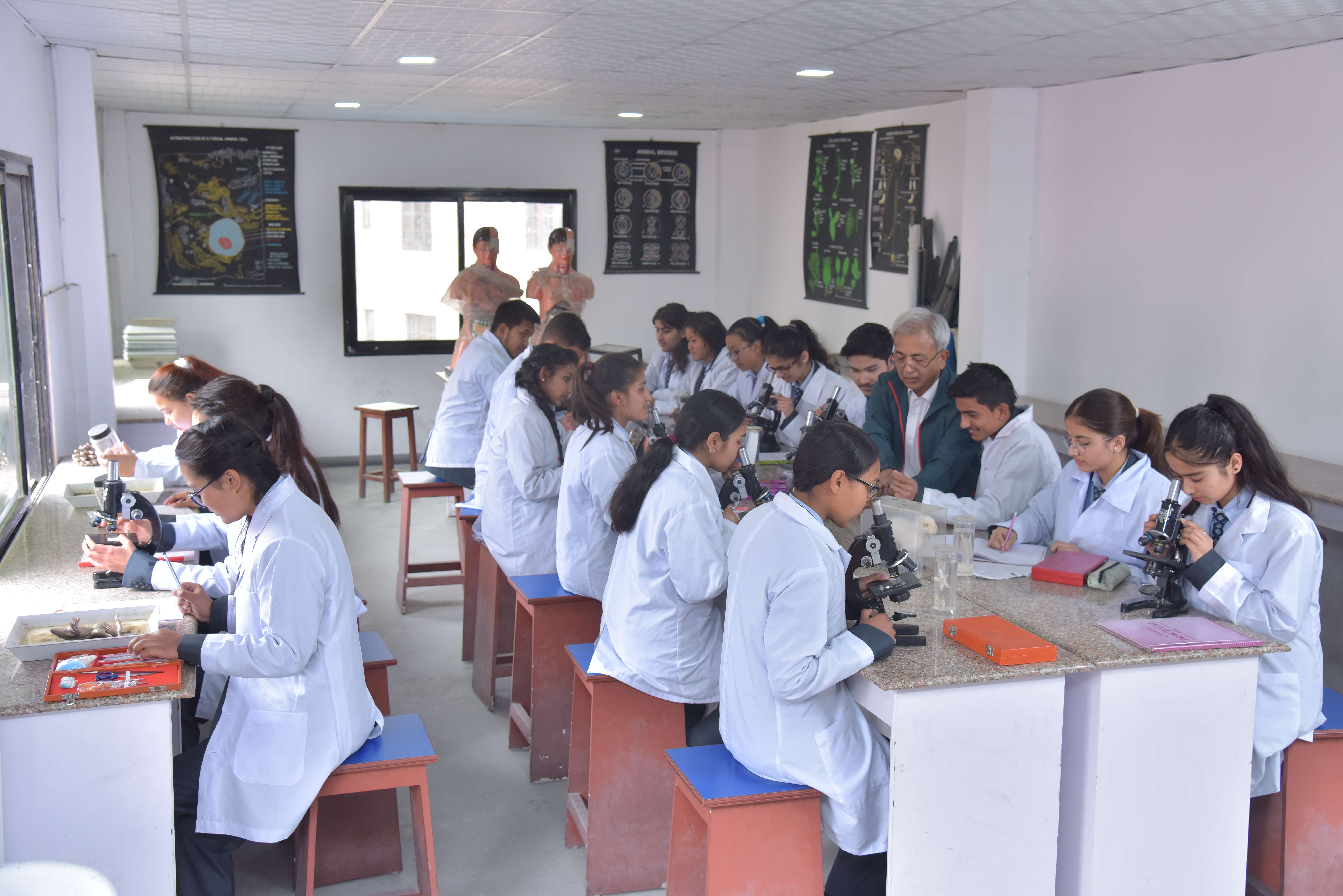 Herald International College