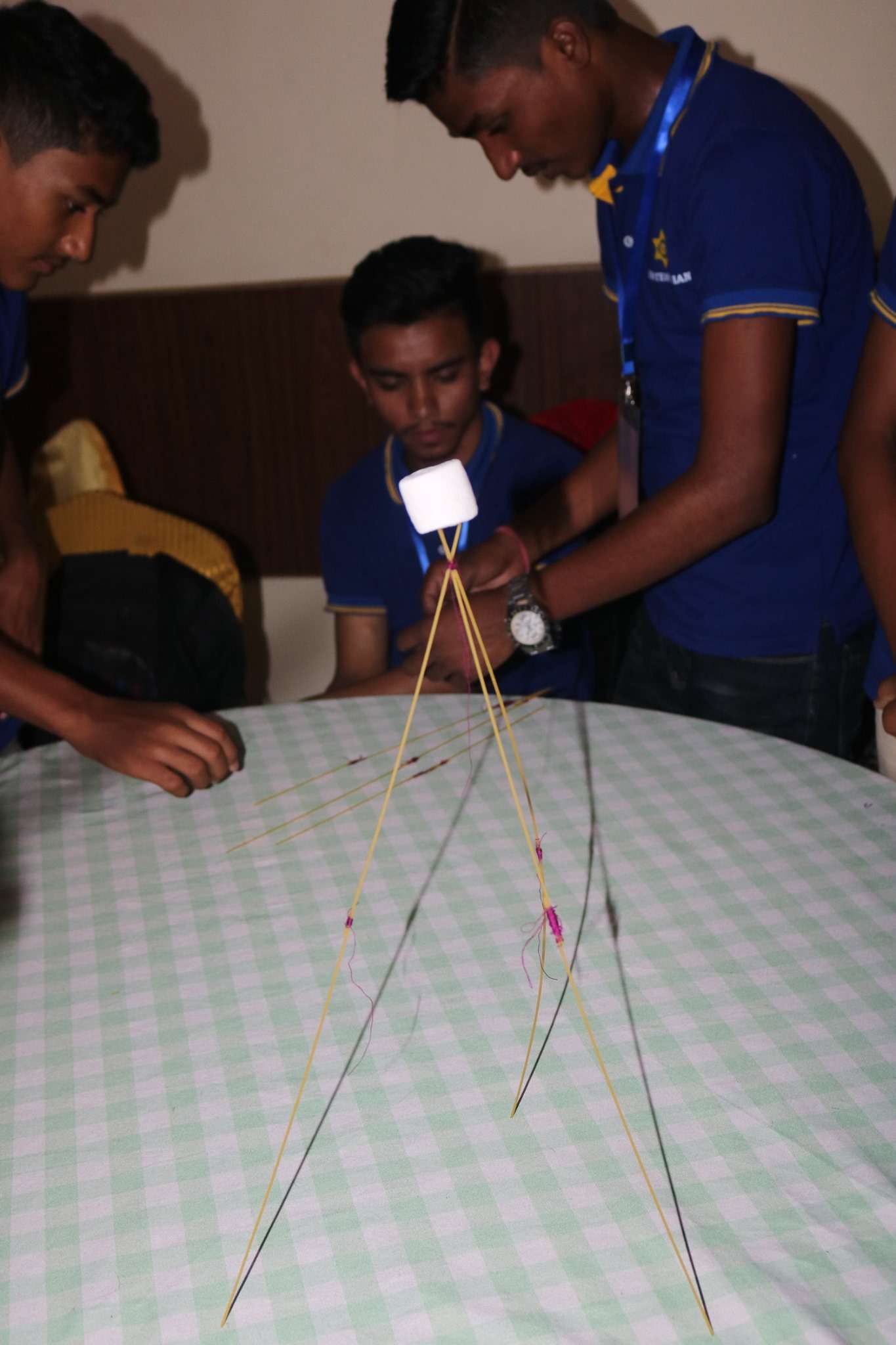 Himalayan WhiteHouse International College