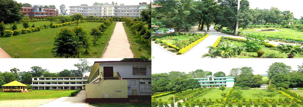 Kailali Multiple Campus
