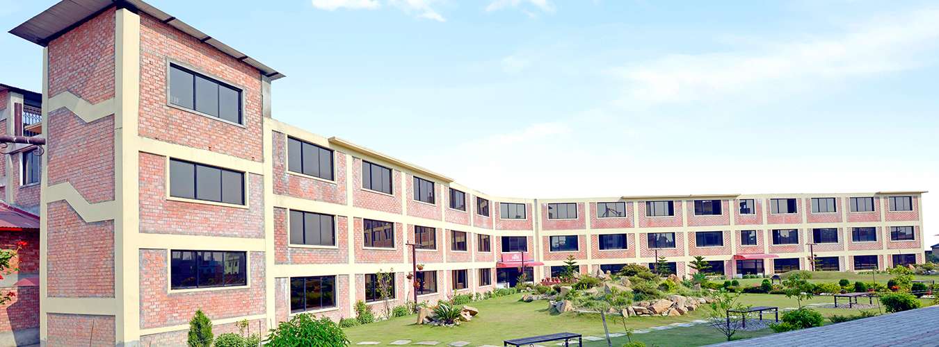 NAMI College