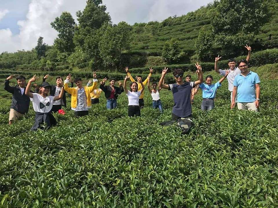 Pokhara United Academy