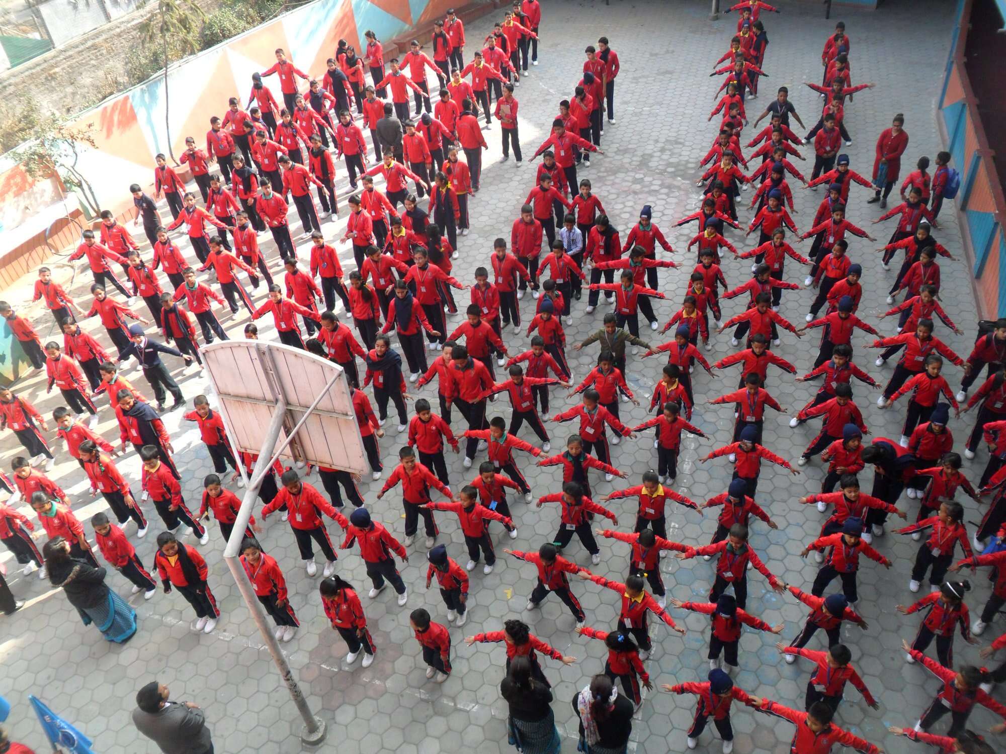 Rising Star College of Management