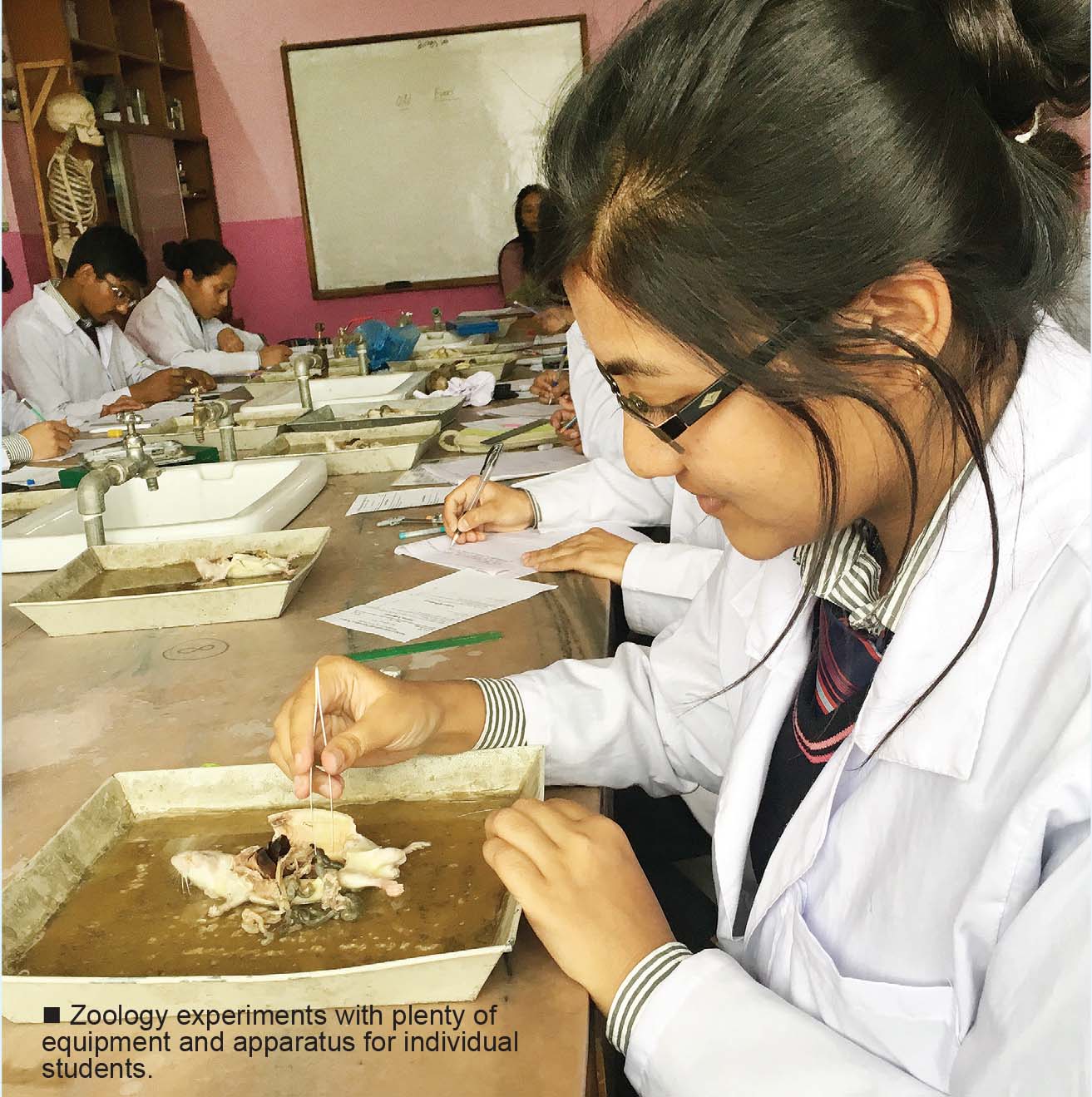 Seabird International College