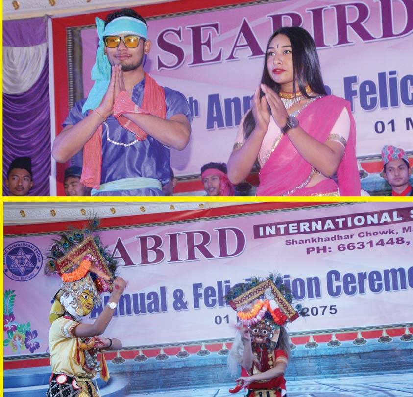 Seabird International College