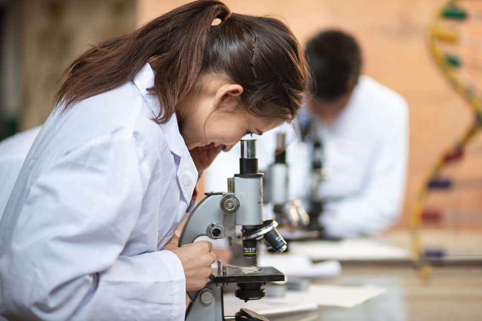 Laboratory Secondary School (+2)