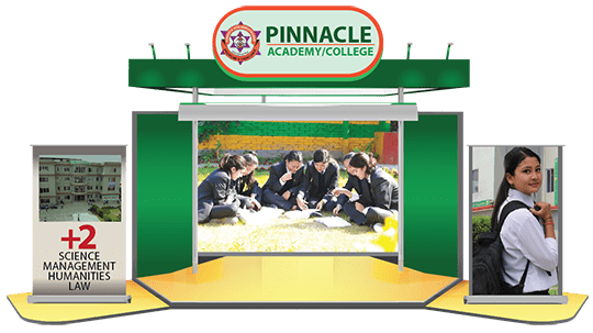 Pinnacle Academy
